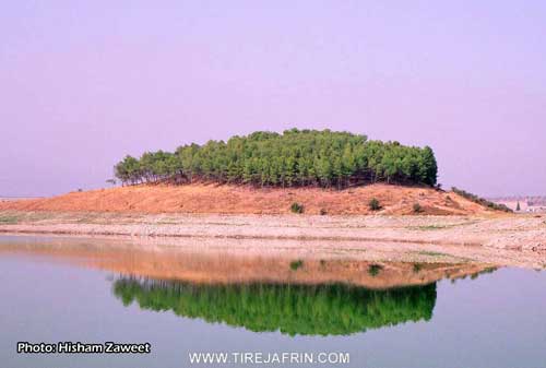 ����� 17 ����� / �������