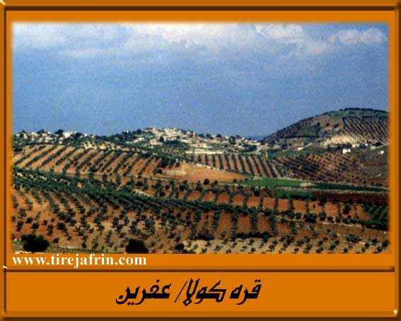 قرية كولا