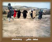 ������ ����� = ������� Shekaley
